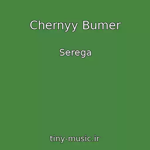 کاور آهنگ Chernyy Bumer از Serega