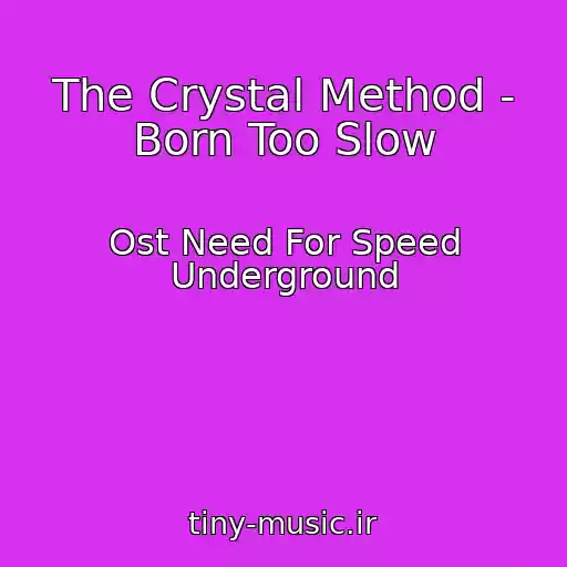 کاور آهنگ The Crystal Method - Born Too Slow از Ost Need For Speed Underground