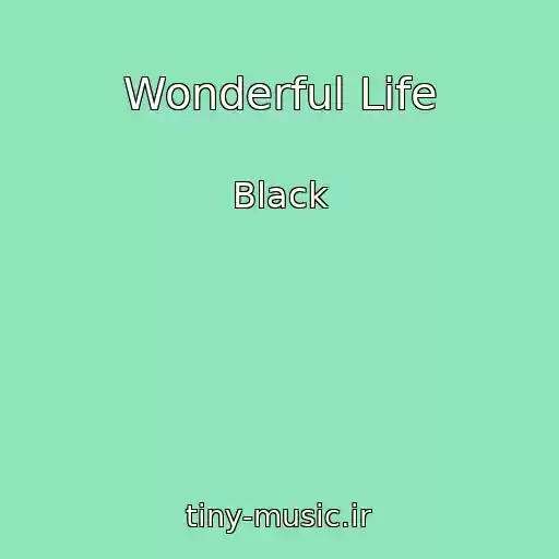 کاور آهنگ Wonderful Life از Black
