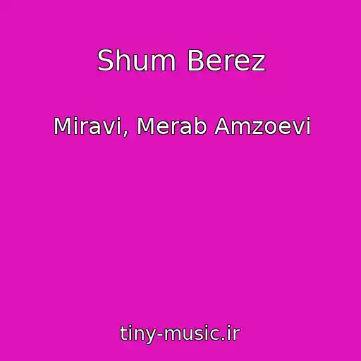 کاور آهنگ Shum Berez از Miravi, Merab Amzoevi