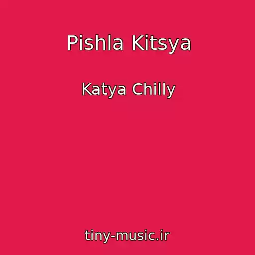 کاور آهنگ Pіshla Kitsya از Katya Chilly