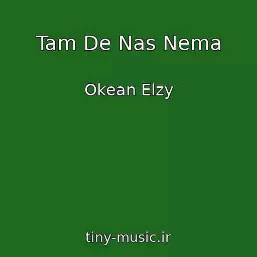 کاور آهنگ Tam De Nas Nema از Okean Elzy