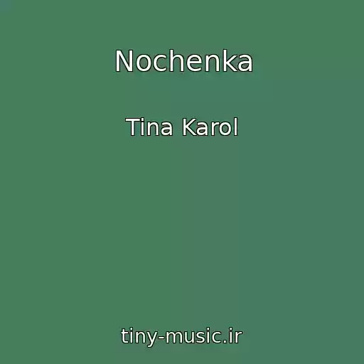کاور آهنگ Nochenka از Tina Karol