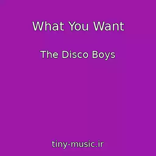 کاور آهنگ What You Want از The Disco Boys