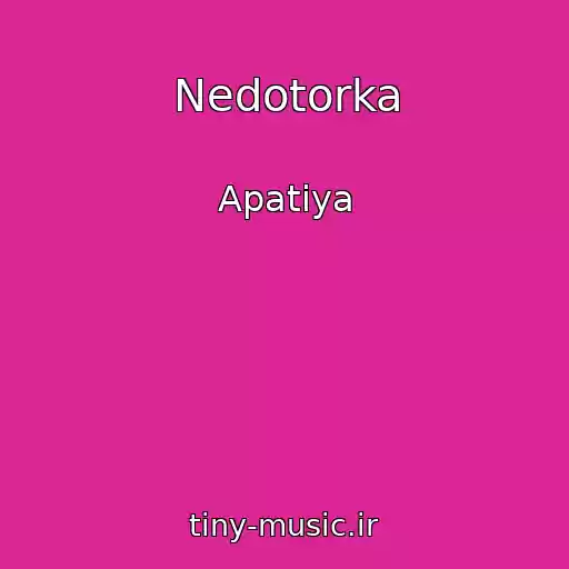کاور آهنگ Nedotorka از Apatіya