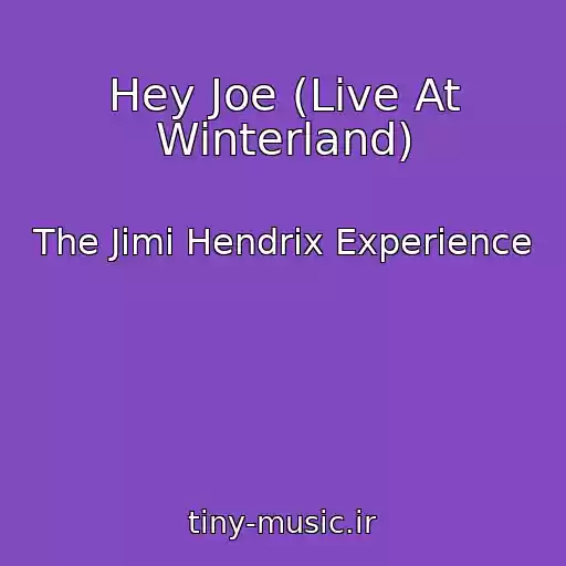 کاور آهنگ Hey Joe (Live At Winterland) از The Jimi Hendrix Experience