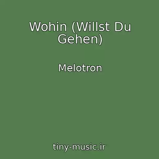کاور آهنگ Wohin (Willst Du Gehen) از Melotron