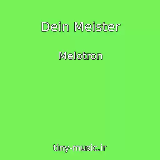 کاور آهنگ Dein Meister از Melotron