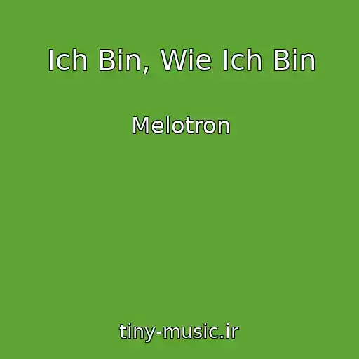 کاور آهنگ Ich Bin, Wie Ich Bin از Melotron