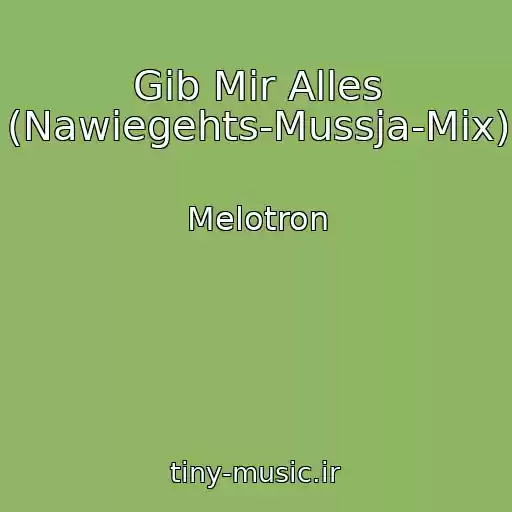 کاور آهنگ Gib Mir Alles (Nawiegehts-Mussja-Mix) از Melotron