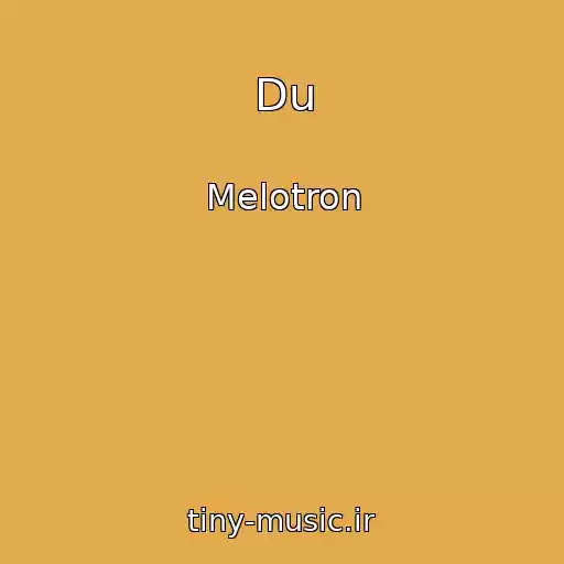 کاور آهنگ Du از Melotron