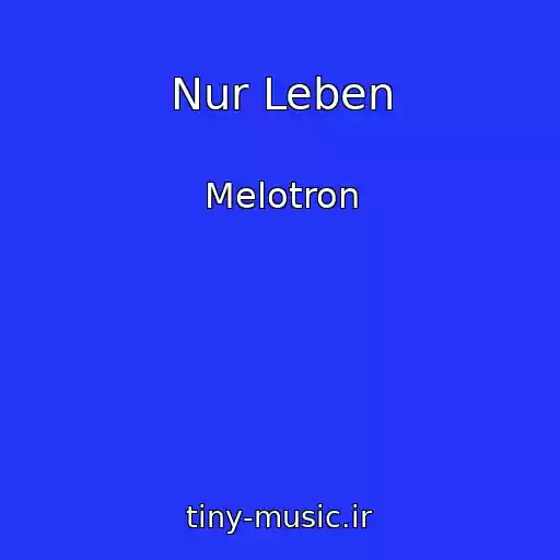 کاور آهنگ Nur Leben از Melotron