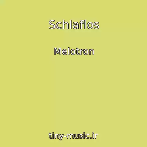 کاور آهنگ Schlaflos از Melotron