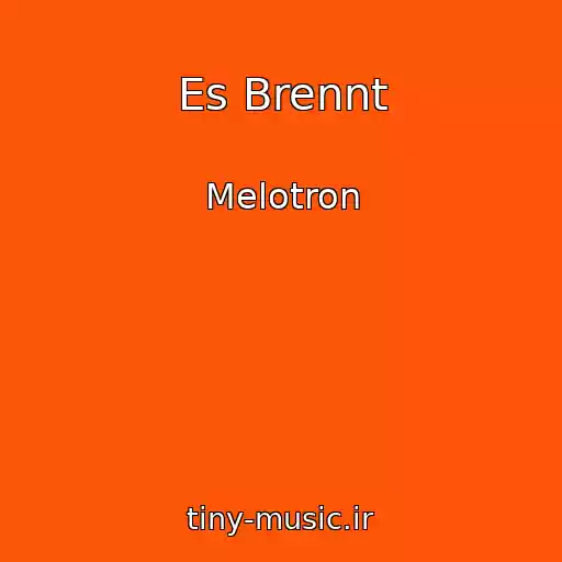 کاور آهنگ Es Brennt از Melotron