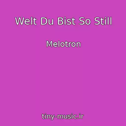کاور آهنگ Welt Du Bist So Still از Melotron