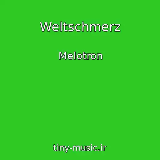 کاور آهنگ Weltschmerz از Melotron