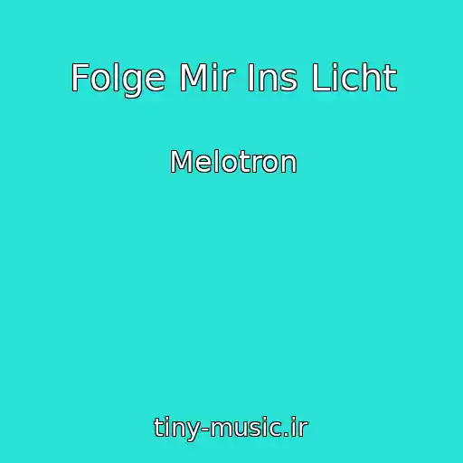 کاور آهنگ Folge Mir Ins Licht از Melotron