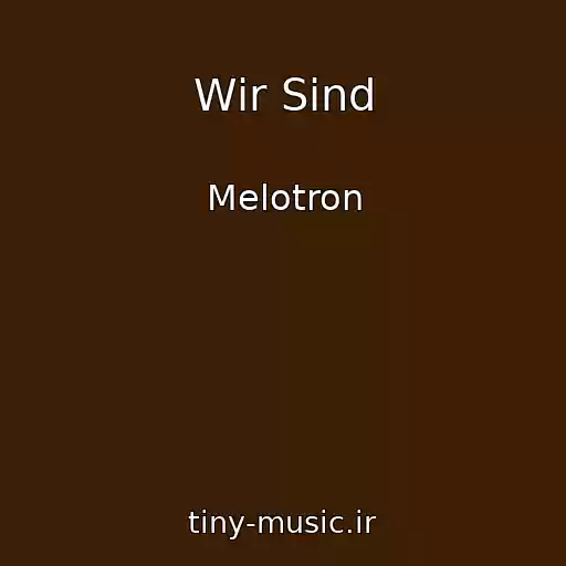 کاور آهنگ Wir Sind از Melotron