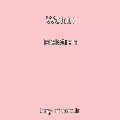 کاور آهنگ Wohin از Melotron