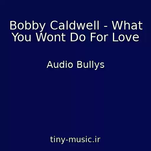 کاور آهنگ Bobby Caldwell - What You Wont Do For Love از Audio Bullys