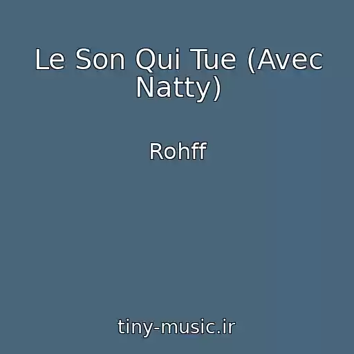 کاور آهنگ Le Son Qui Tue (Avec Natty) از Rohff