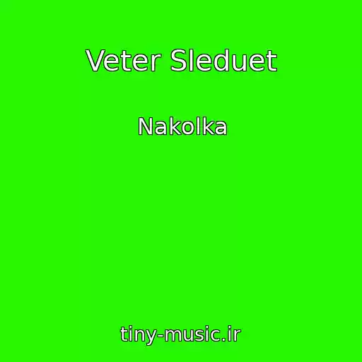 کاور آهنگ Veter Sleduet از Nakolka