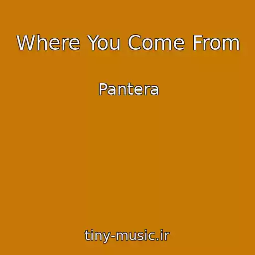 کاور آهنگ Where You Come From از Pantera