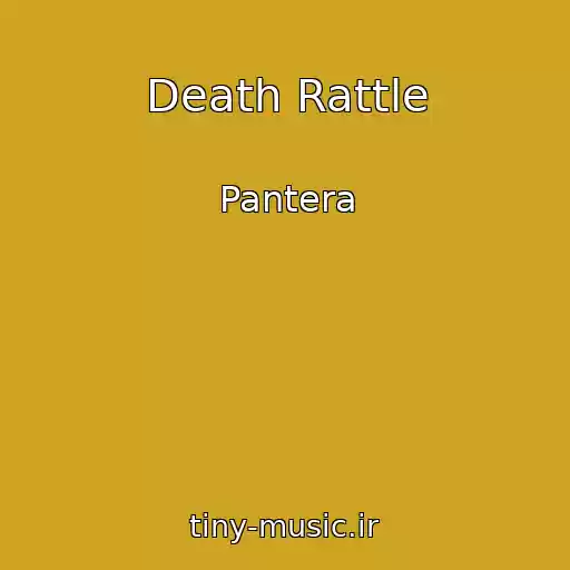 کاور آهنگ Death Rattle از Pantera