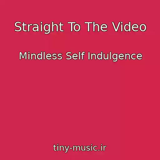 کاور آهنگ Straight To The Video از Mindless Self Indulgence