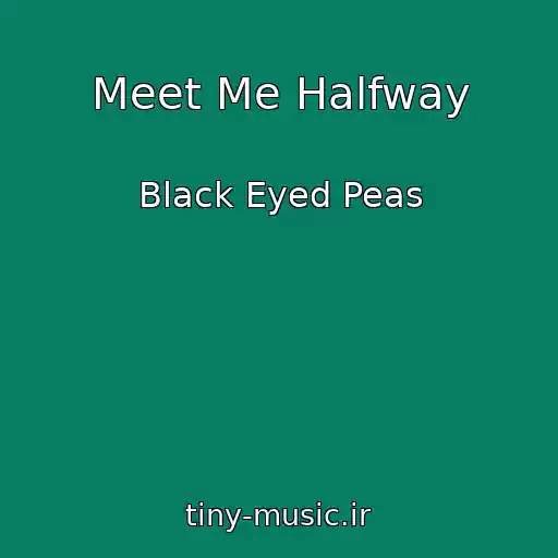 کاور آهنگ Meet Me Halfway از Black Eyed Peas