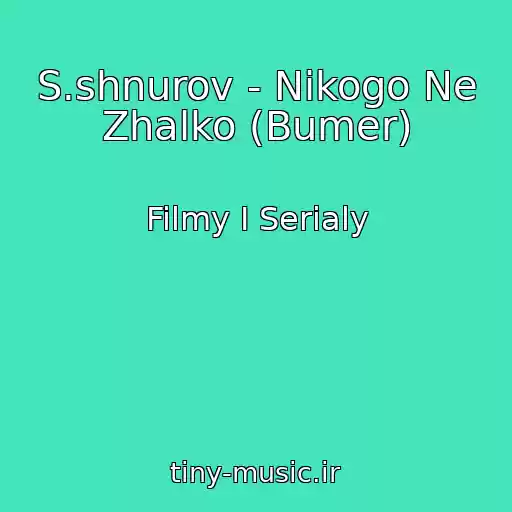 کاور آهنگ S.shnurov - Nikogo Ne Zhalko (Bumer) از Filmy I Serialy