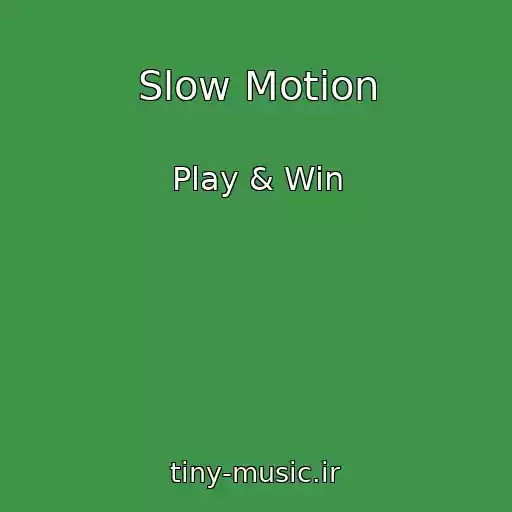 کاور آهنگ Slow Motion از Play & Win