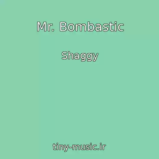 کاور آهنگ Mr. Bombastic از Shaggy
