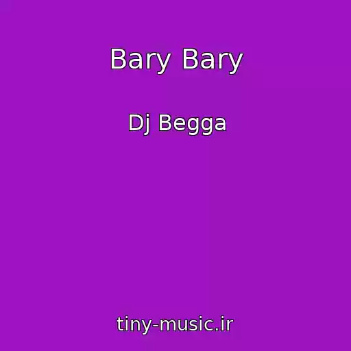کاور آهنگ Bary Bary از Dj Begga