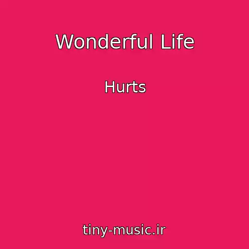 کاور آهنگ Wonderful Life از Hurts