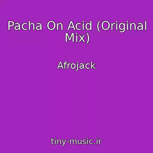 کاور آهنگ Pacha On Acid (Original Mix) از Afrojack