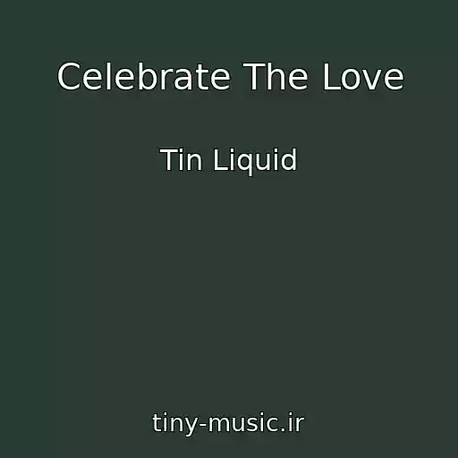 کاور آهنگ Celebrate The Love از Tin Liquid