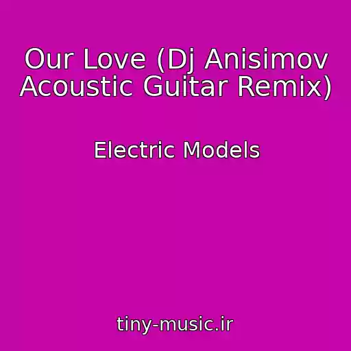 کاور آهنگ Our Love (Dj Anisimov Acoustic Guitar Remix) از Electric Models