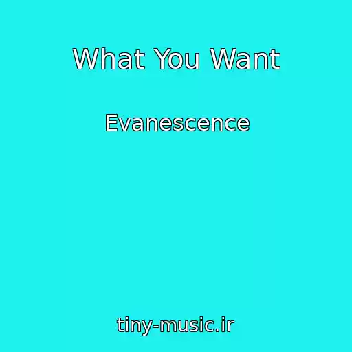 کاور آهنگ What You Want از Evanescence