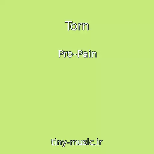 کاور آهنگ Torn از Pro-Pain