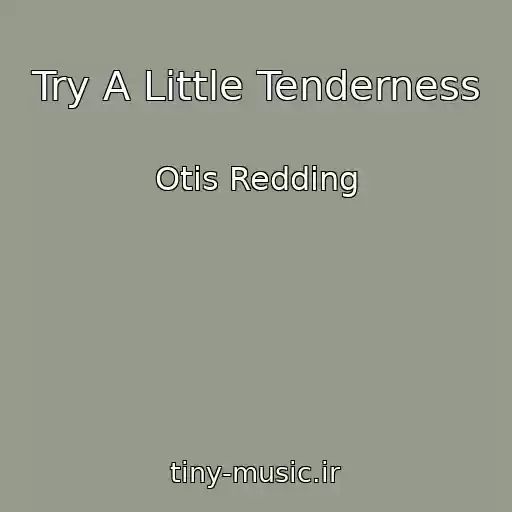 کاور آهنگ Try A Little Tenderness از Otis Redding
