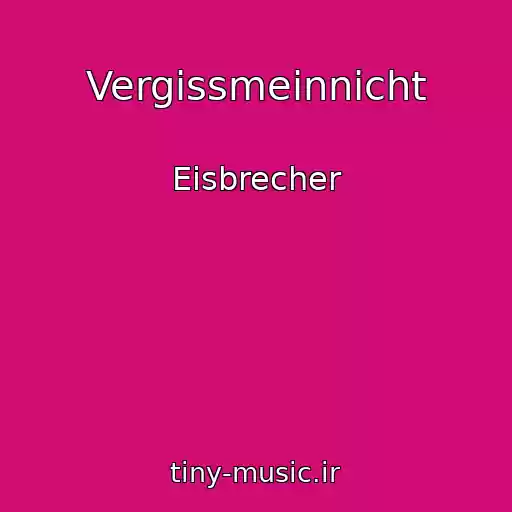 کاور آهنگ Vergissmeinnicht از Eisbrecher