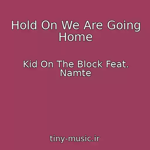 کاور آهنگ Hold On We Are Going Home از Kid On The Block Feat. Namte