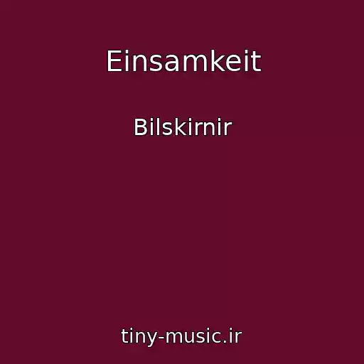کاور آهنگ Einsamkeit از Bilskirnir