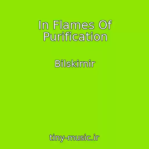 کاور آهنگ In Flames Of Purification از Bilskirnir