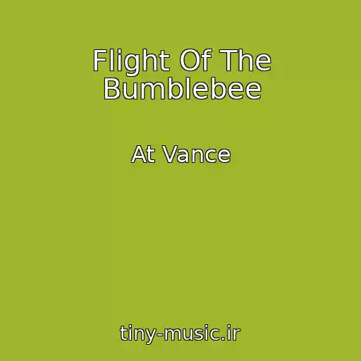کاور آهنگ Flight Of The Bumblebee از At Vance