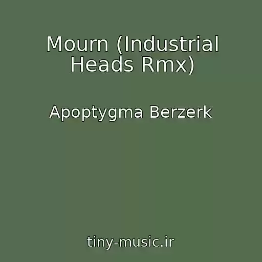 کاور آهنگ Mourn (Industrial Heads Rmx) از Apoptygma Berzerk