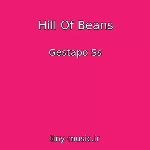 کاور آهنگ Hill Of Beans از Gestapo Ss