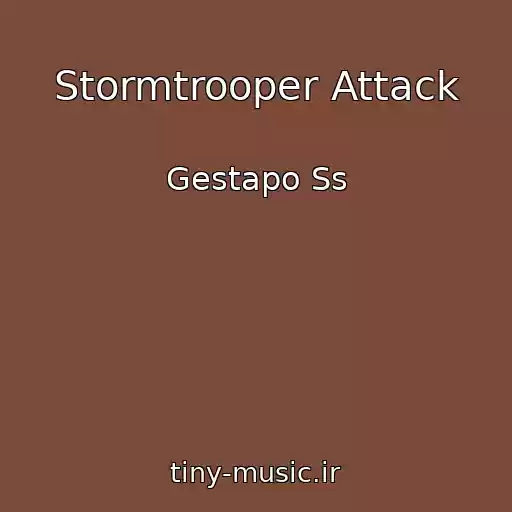 کاور آهنگ Stormtrooper Attack از Gestapo Ss