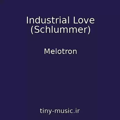 کاور آهنگ Industrial Love (Schlummer) از Melotron